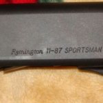Shotgun handguard