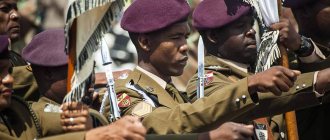 Что в имени тебе моём: зачем армия ЮАР переименовывает полки?