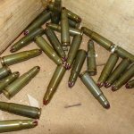 Blank cartridge: what is its purpose and power