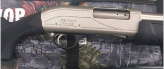 Review of the Hatsan Escort Magnum air rifle
