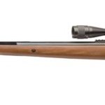 Advantages, disadvantages, purpose of the Benjamin Trail NP XL 1500 air rifle