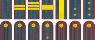 examples of police ranks and shoulder straps