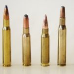 12 gauge shotgun bullets