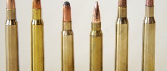 12 gauge shotgun bullets