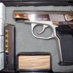 This is what the MP80 13T pistol case looks like