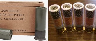 The cartridges for American military rifles have a discreet gray-green casing and a blued bottom - but translucent ones are still more practical